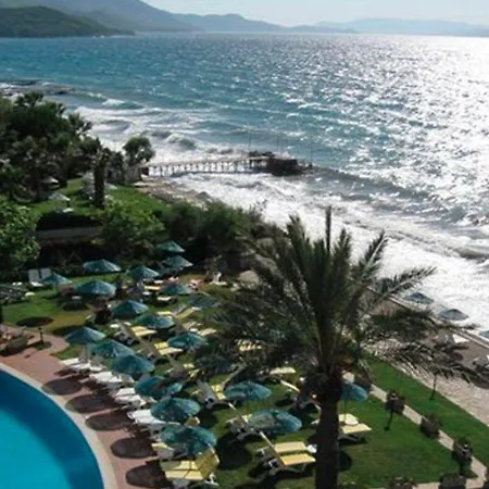 Faustina & グゼルカミル