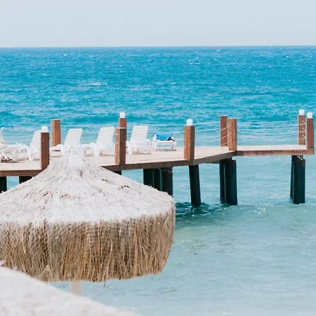 Faustina & Guzelcamlı