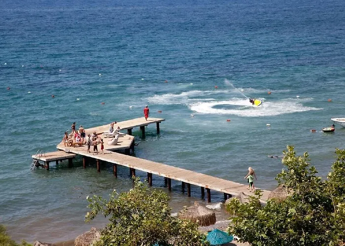 Faustina & 4* グゼルカミル