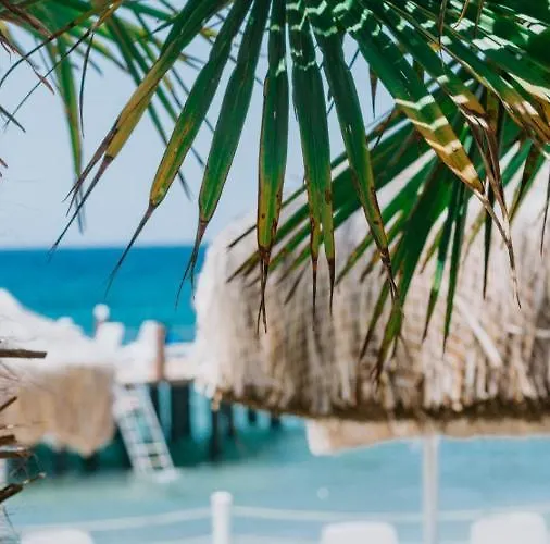 ホテル Faustina & グゼルカミル