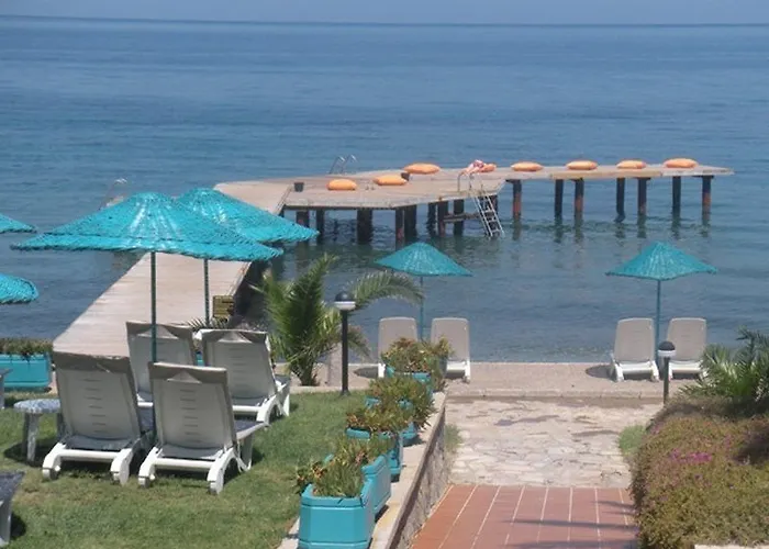 Faustina & ホテル