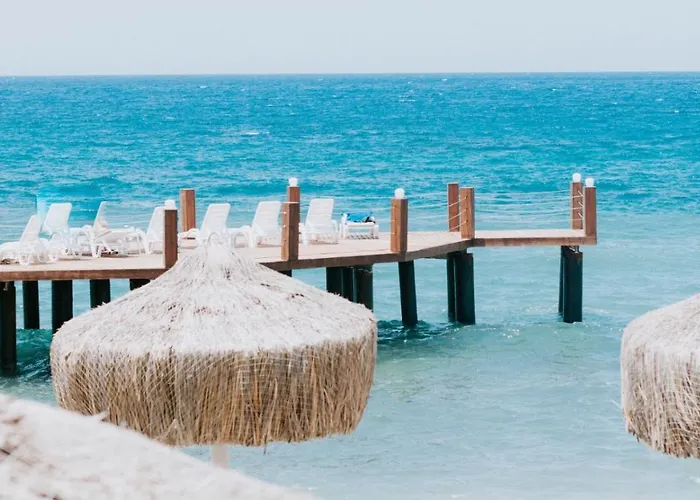 Faustina & Guzelcamlı